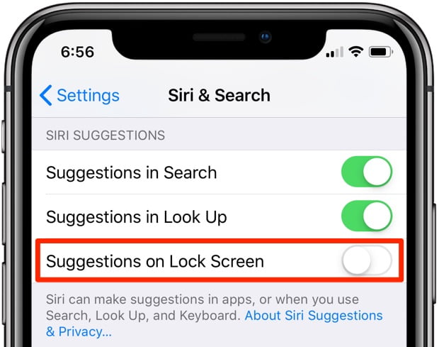 Siri & Search interface